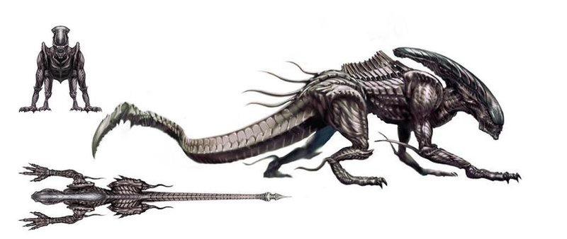 Illustration for article titled A Glimpse At the Now Dead Aliens RPG
